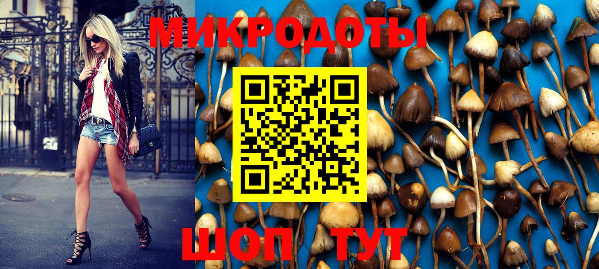 Галлюциногенные грибы Magic Shrooms  Вход с VPN  Псилоцибиновые грибы GOLDEN TEACHER  Качканар 