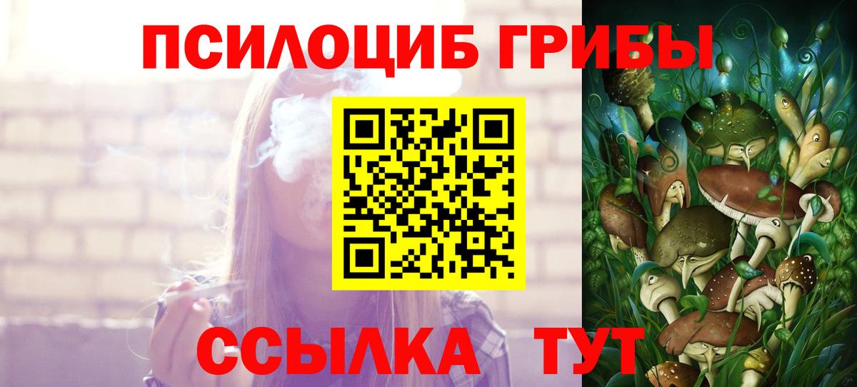Псилоцибиновые грибы Psilocybine cubensis Качканар