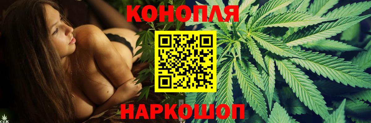Марихуана OG Kush  Конопля SATIVA & INDICA  Вход с VPN  Качканар  Бошки Шишки семена 